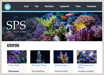 Coral Reef Identification and Care Wiki