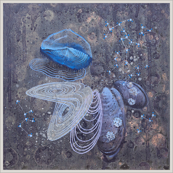 Emergent Properties: Vellela, Lorentz, Mussel